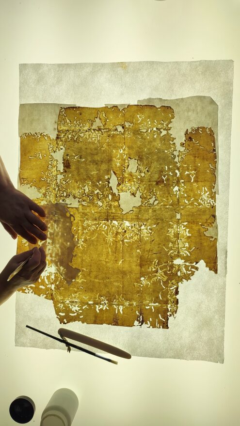 Il Laboratorio si occupa dello studio, manutenzione e restauro del patrimonio archivistico appartenente all’Archivio di Stato di Bari. Attraverso un’attenta e programmata attività di monitoraggio e verifica dello stato di conservazione delle raccolte e delle serie archivistiche, il personale del laboratorio esercita azioni dirette e indirette sui beni conservati, finalizzate a prevenirne danni di natura chimica, fisica e biologica e a ripristinarne l’integrità storica, estetica e funzionale.